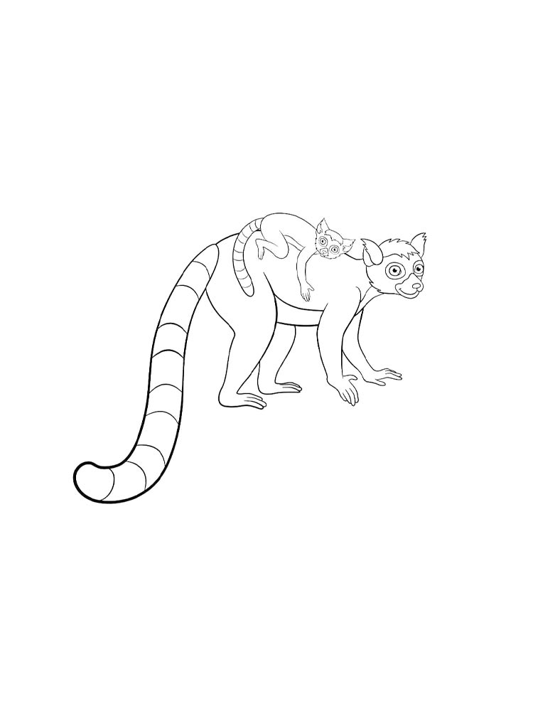 Lemur coloring pages