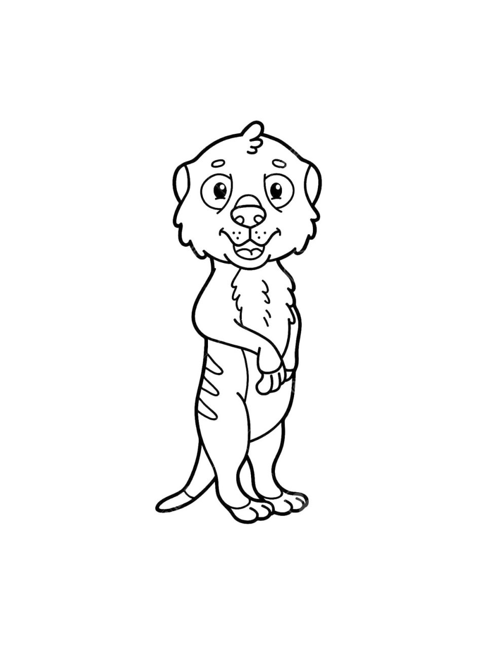 Meerkat coloring pages