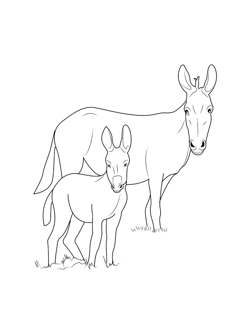 Mule coloring pages