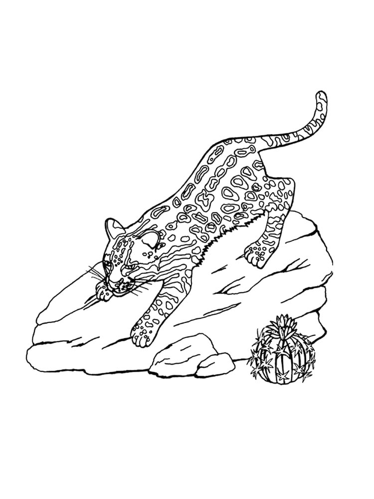 Ocelot coloring pages