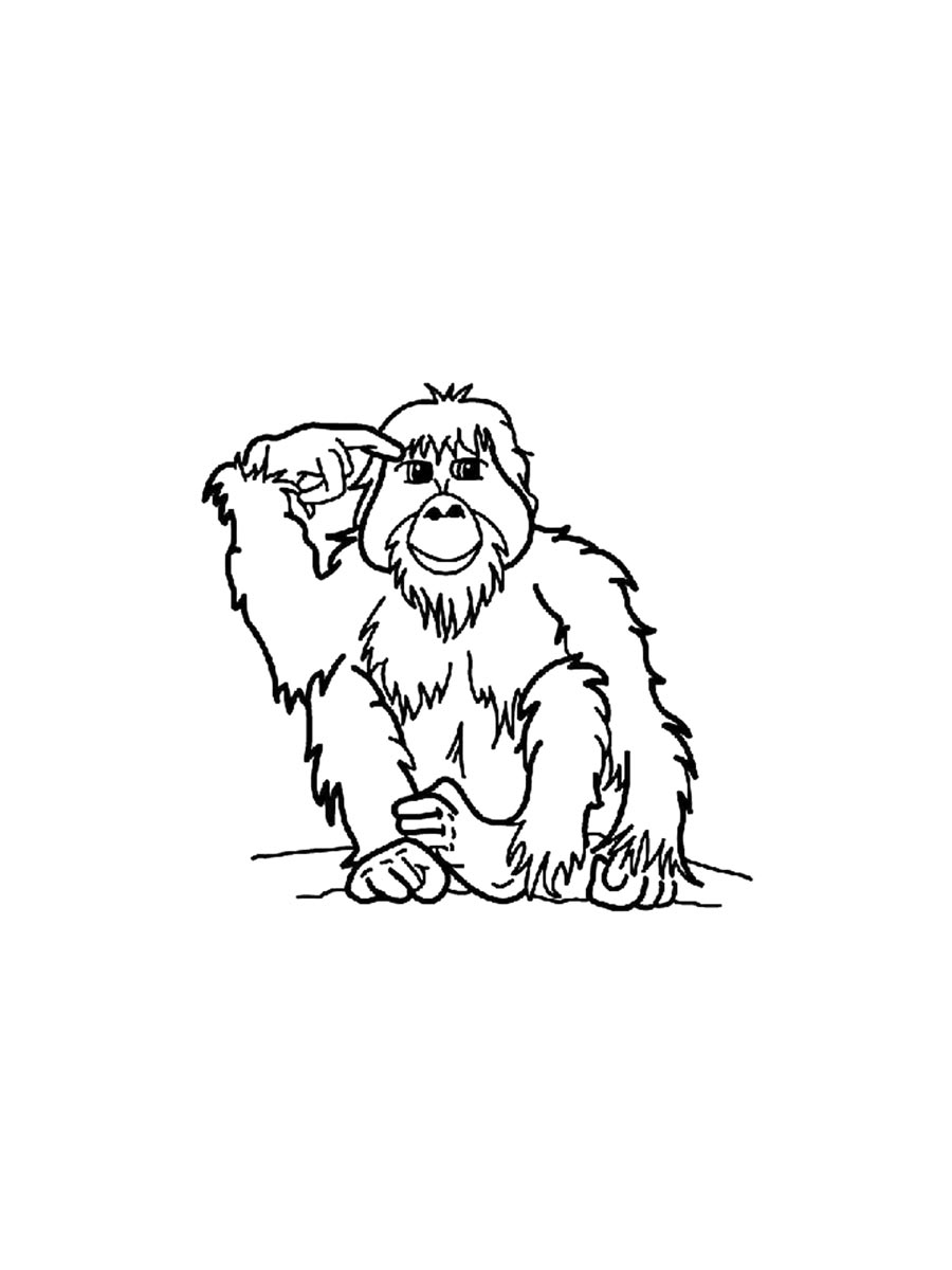 Orangutan coloring pages