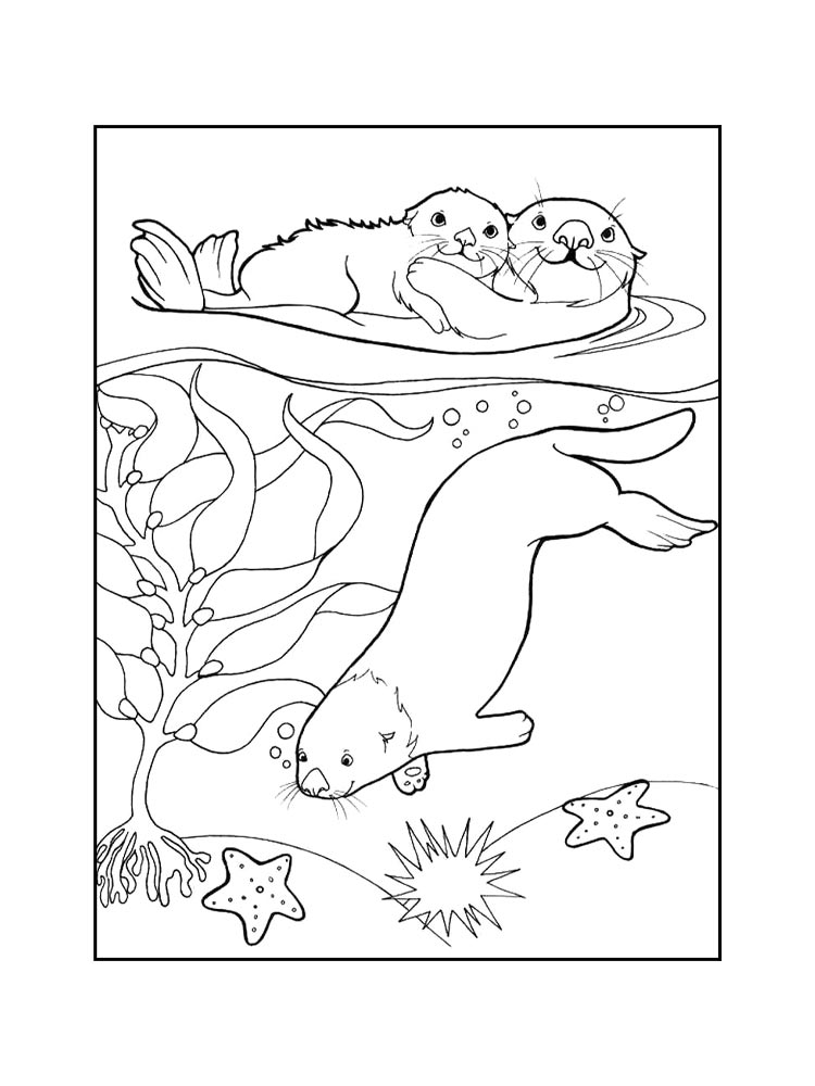 Otter coloring pages