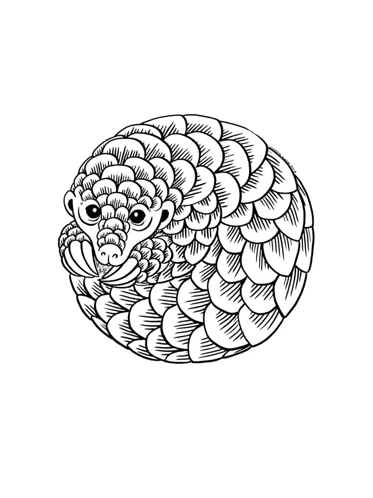 Pangolin coloring pages