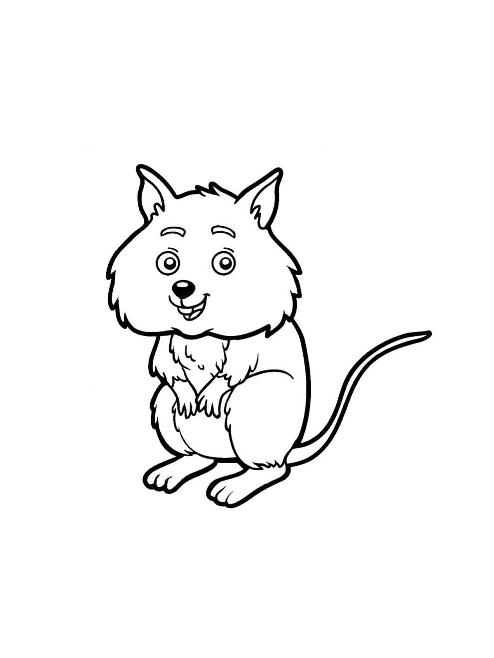 Quokka coloring pages