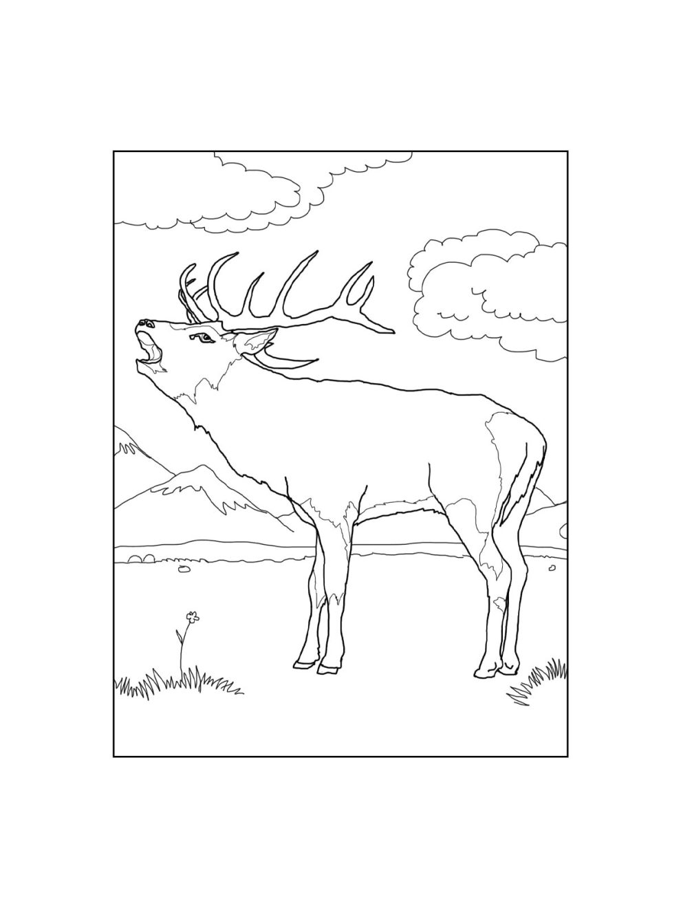 Red Deer coloring pages