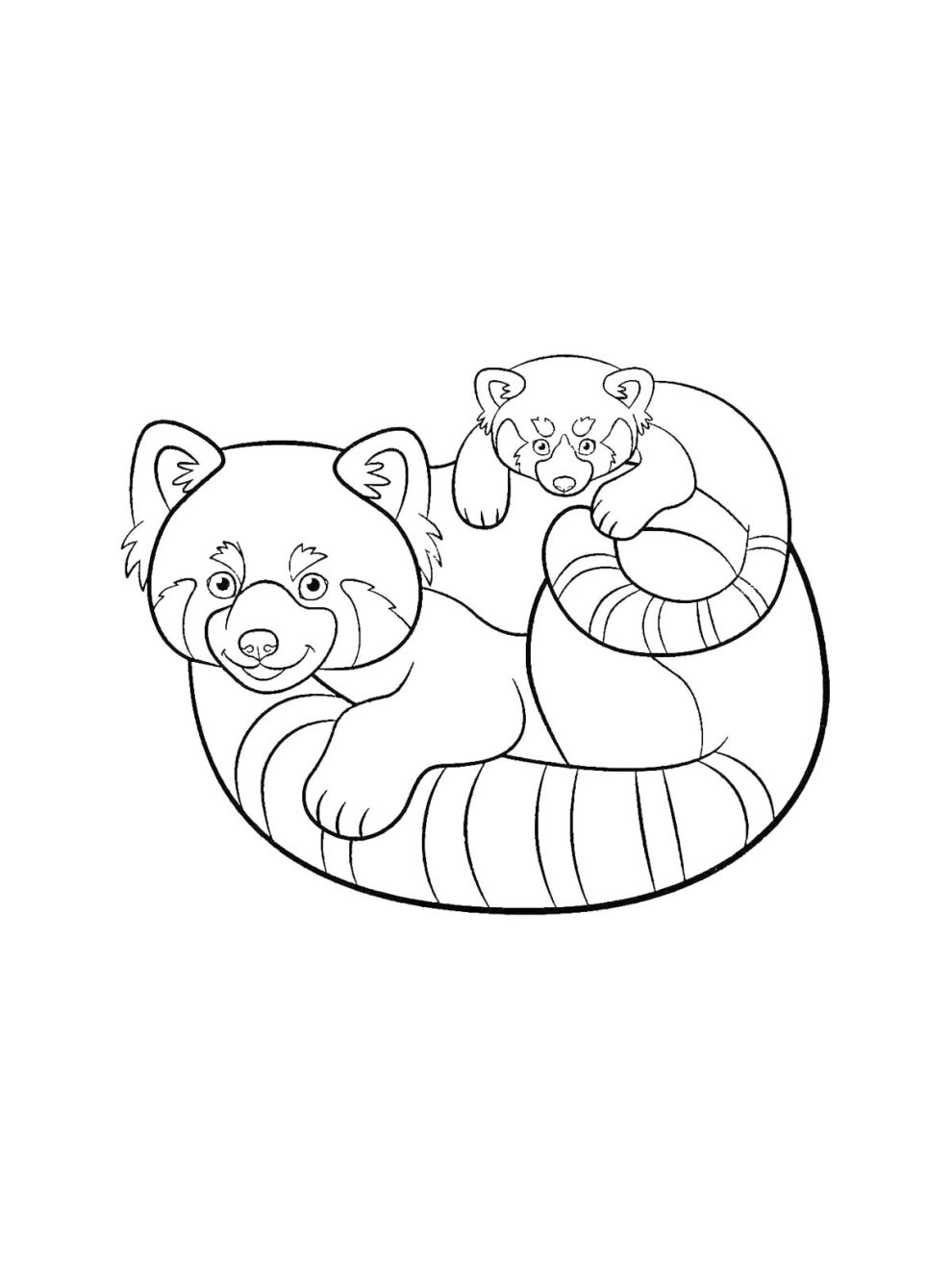 Red Panda coloring pages