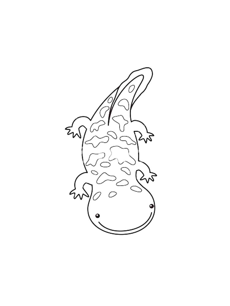 Salamander coloring pages