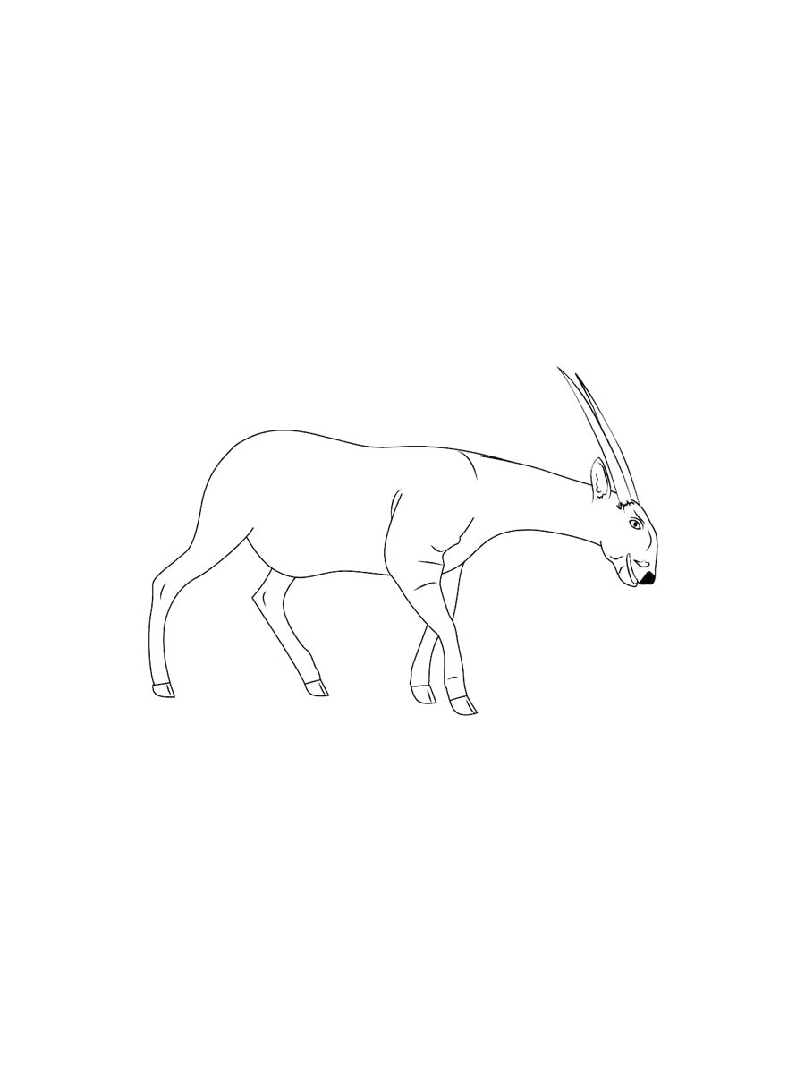 Saola coloring pages