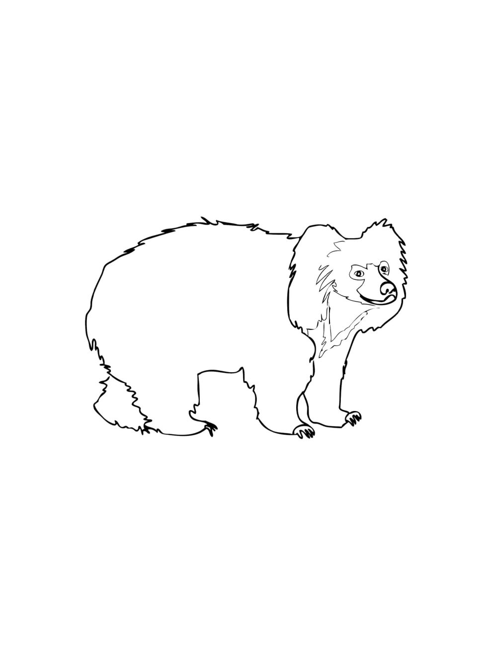 Sloth Bear coloring pages