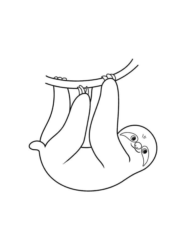 Sloth coloring pages