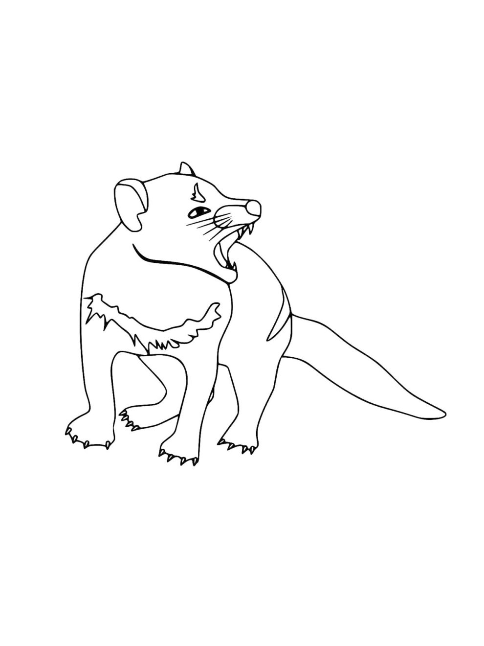 Tasmanian Devil coloring pages