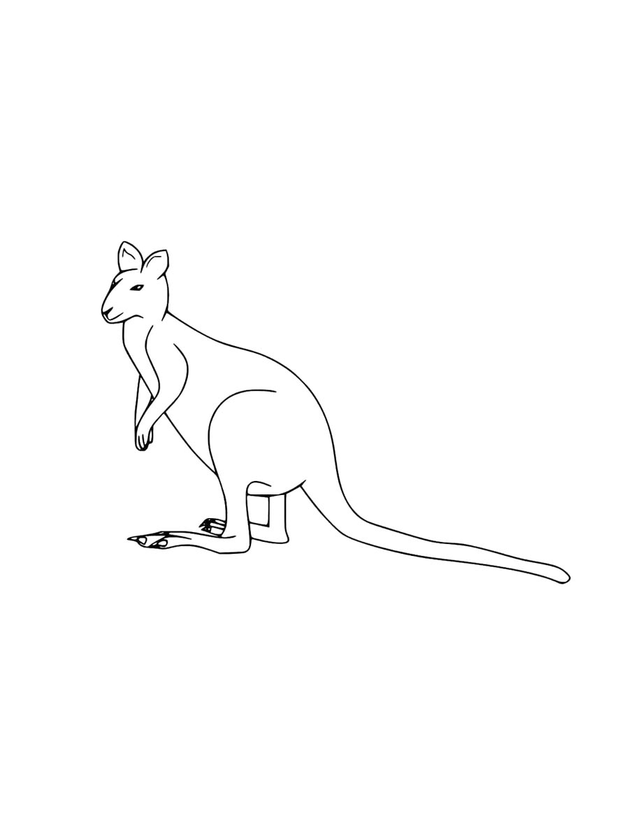 Wallaby coloring pages