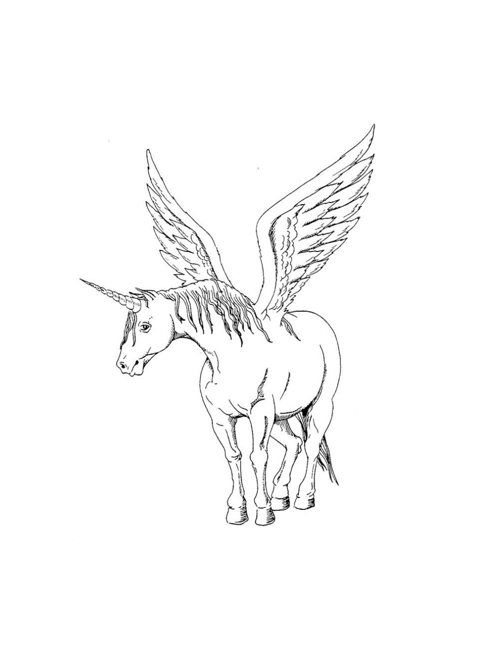 Winged Unicorn coloring pages