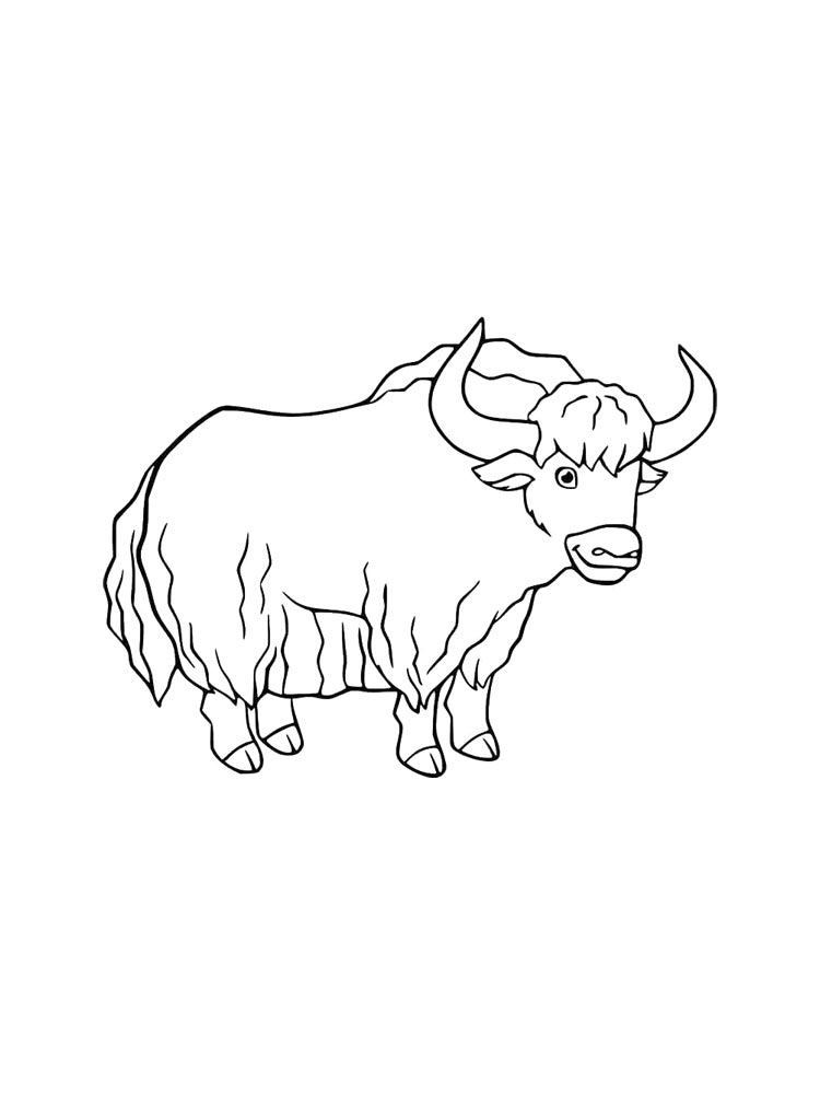 Yak coloring pages