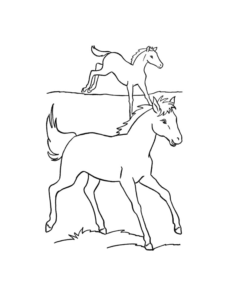 Horse coloring page 45