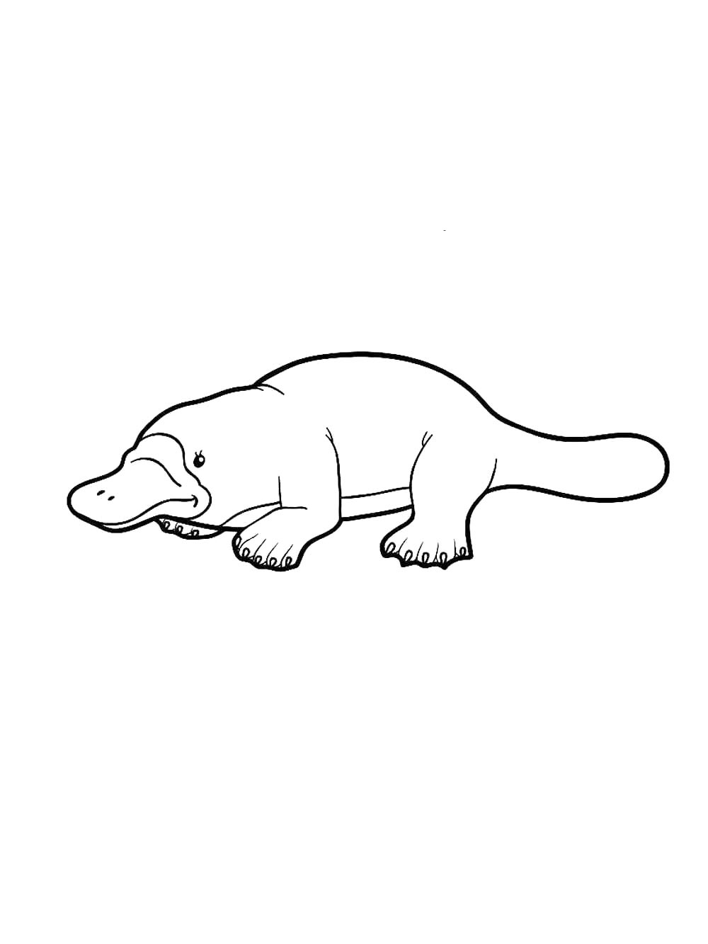 Duckbill coloring page 13