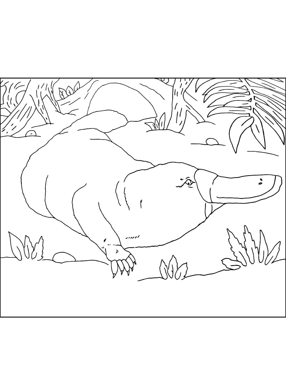 Duckbill coloring page 17