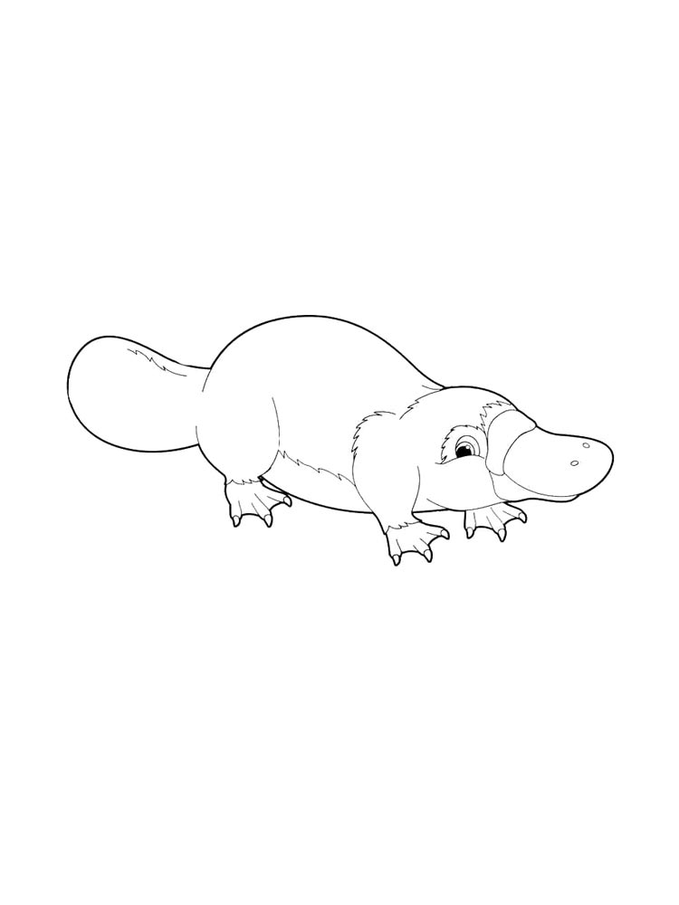 Duckbill coloring page 7