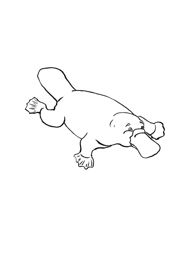 Duckbill coloring page 6