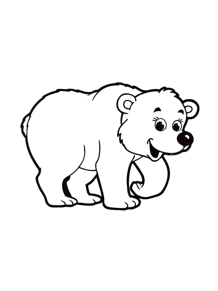 Bear coloring page 11
