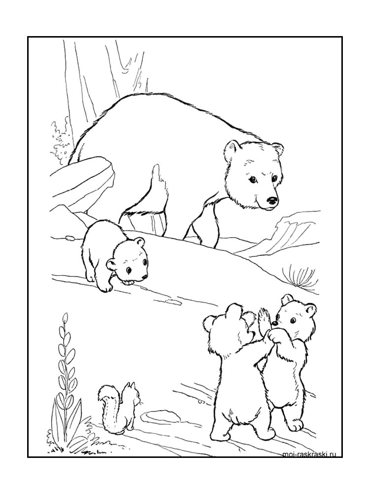 Bear coloring page 19