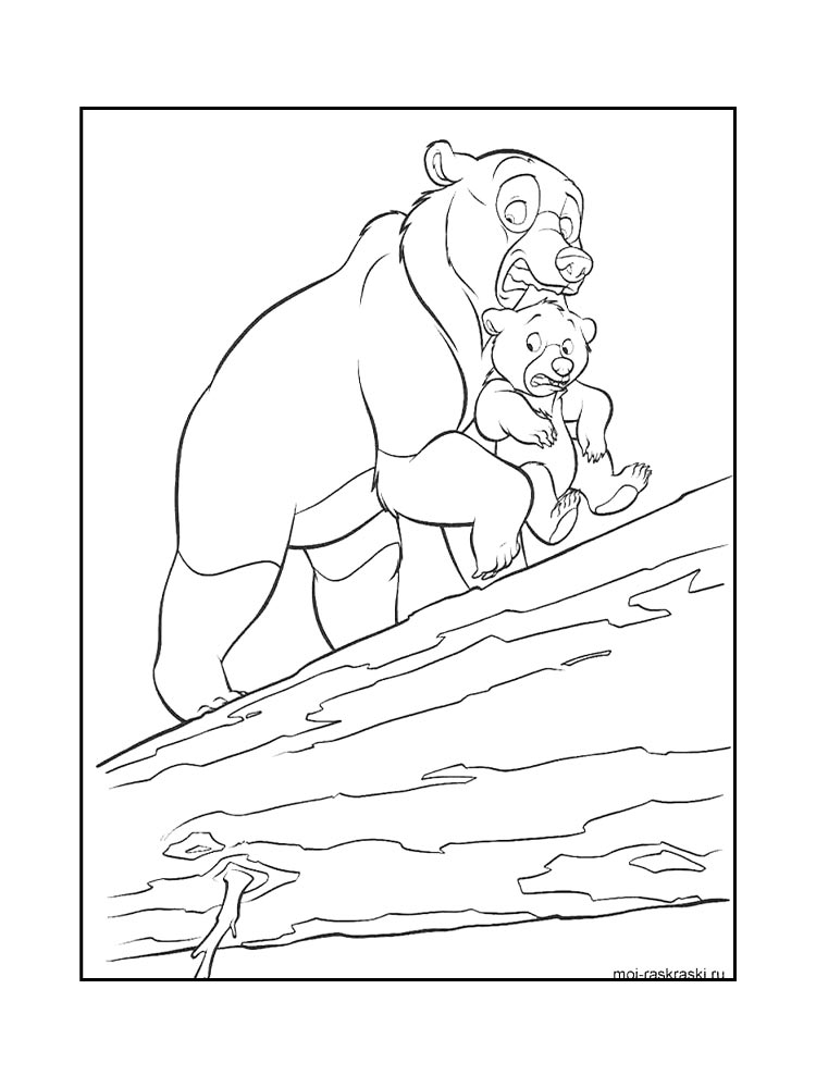 Bear coloring page 17