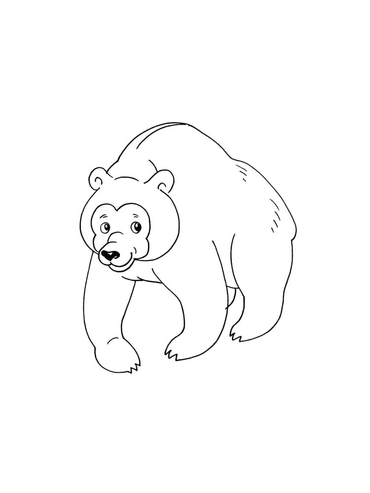 Bear coloring page 13