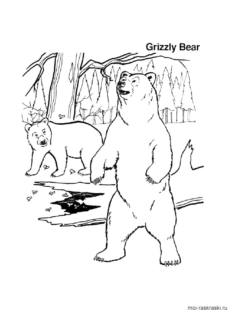 Bear coloring page 16