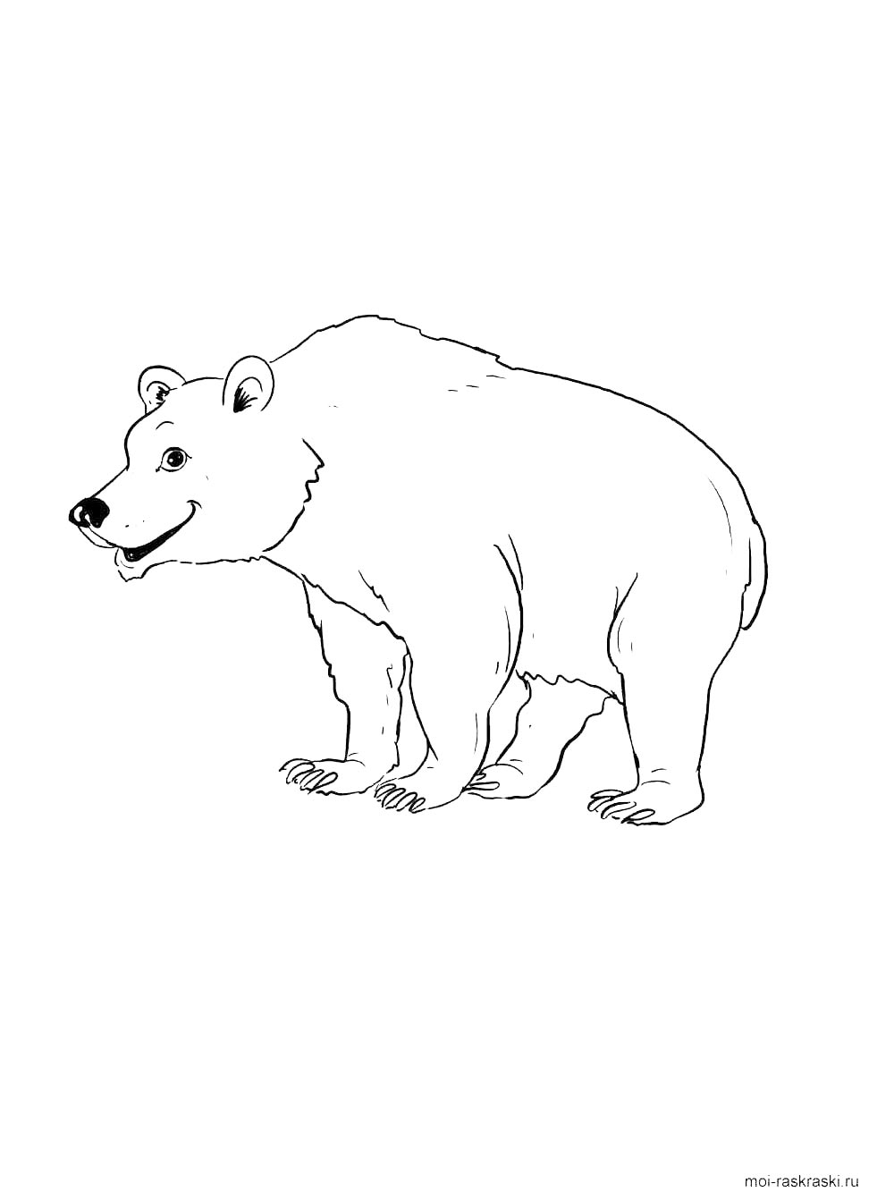 Bear coloring page 14
