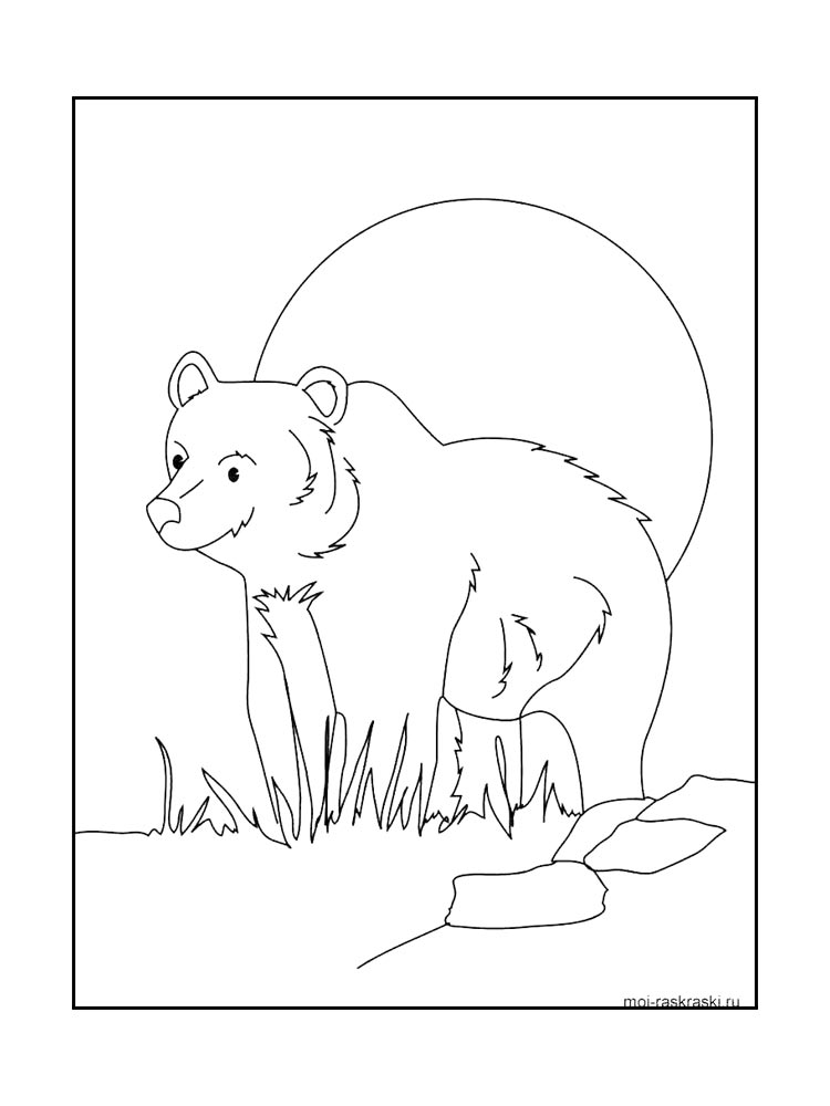 Bear coloring page 22