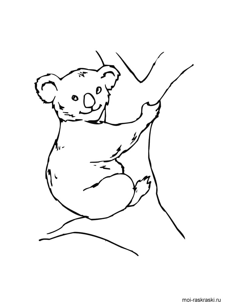 Bear coloring page 23