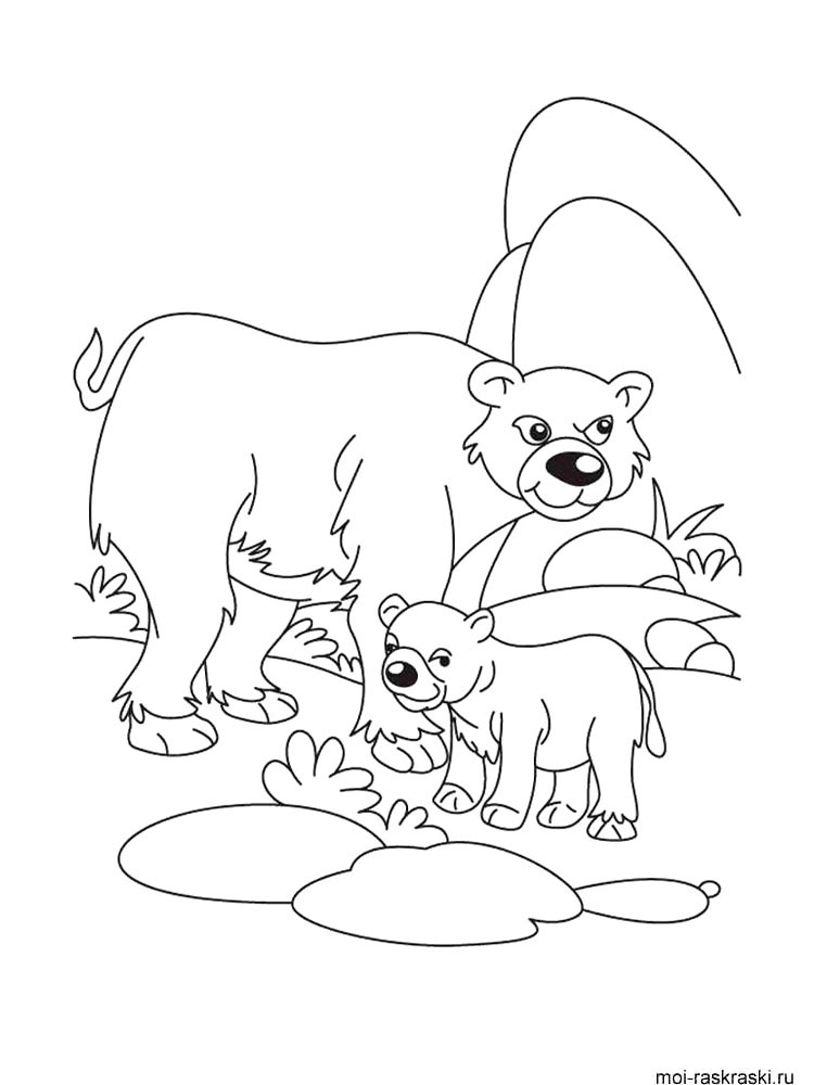 Bear coloring page 30