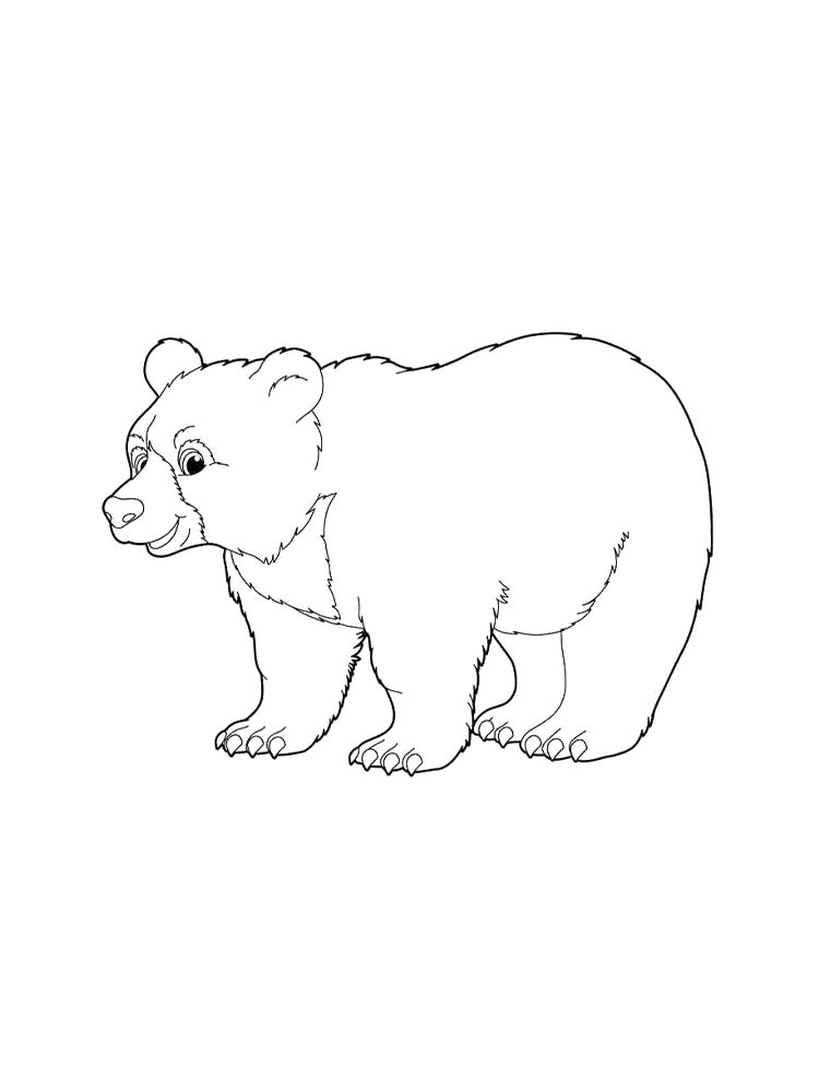 Bear coloring page 3