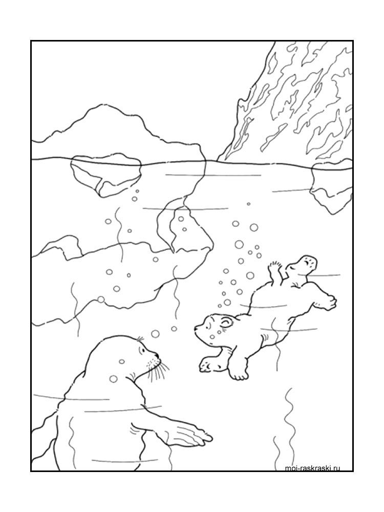Bear coloring page 31