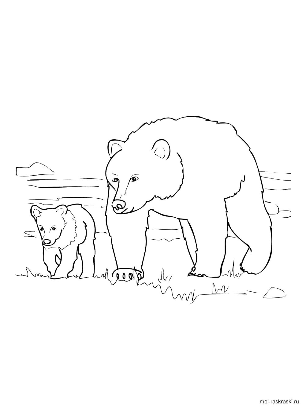 Bear coloring page 32