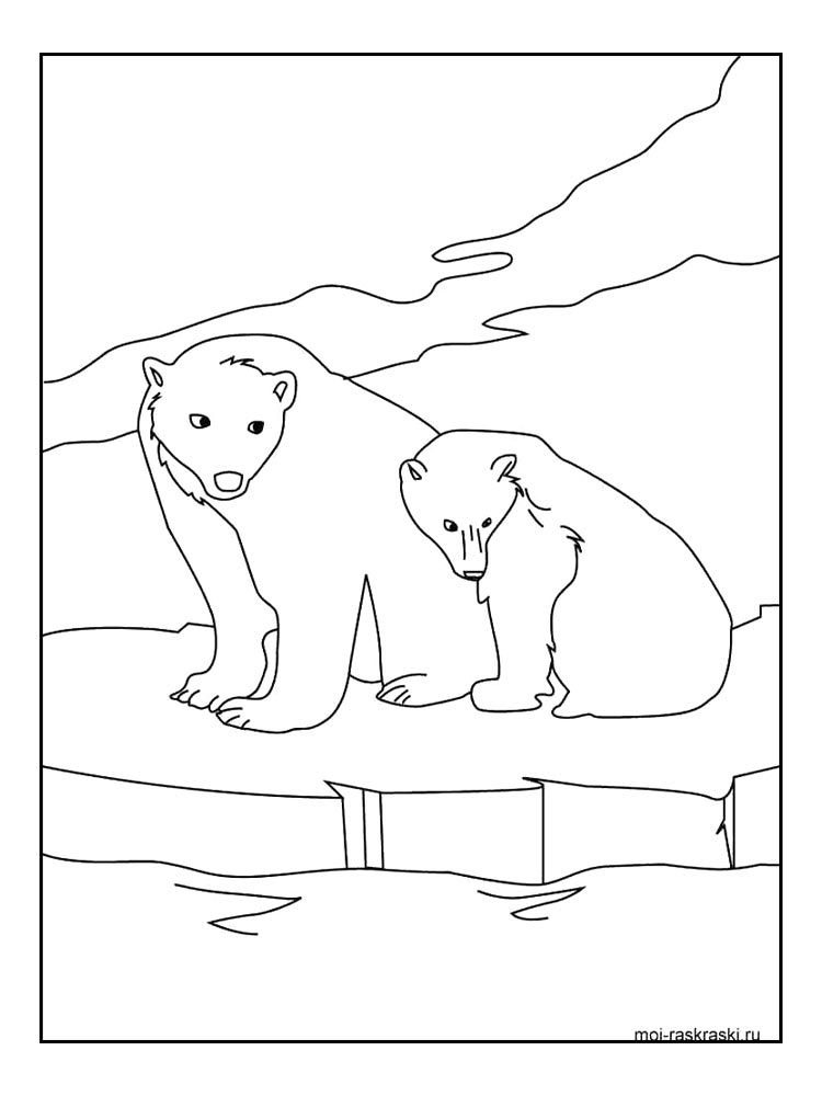 Bear coloring page 26