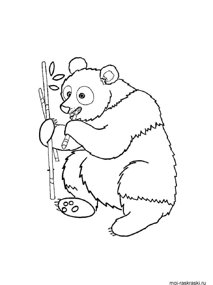 Bear coloring page 35