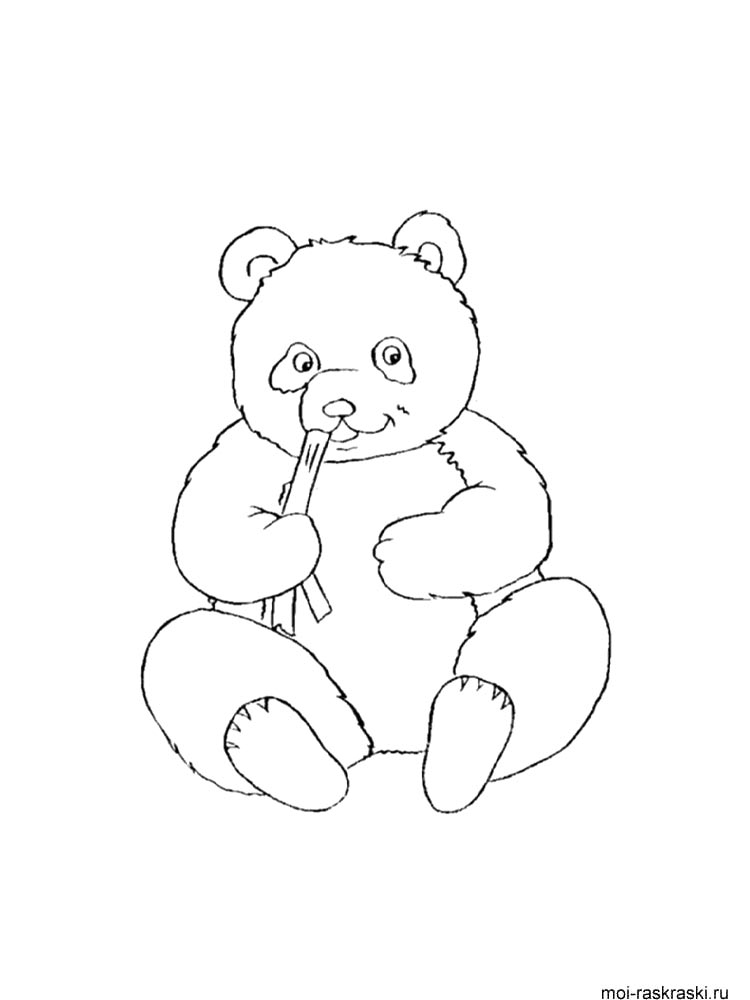 Bear coloring page 34