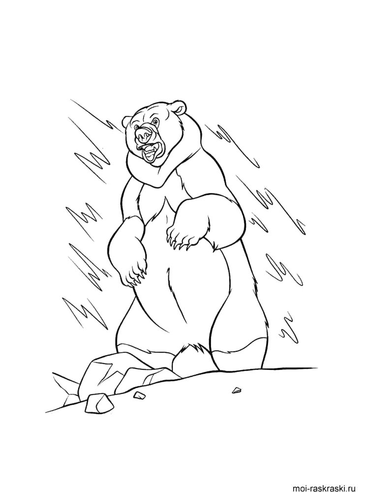 Bear coloring page 33