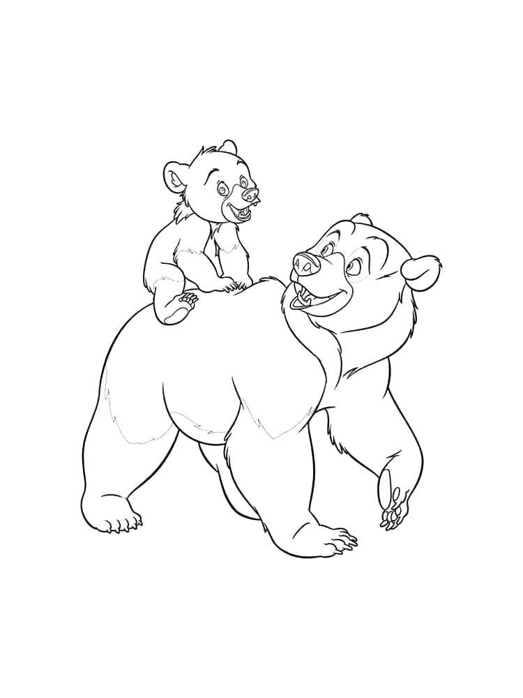 Bear coloring page 4