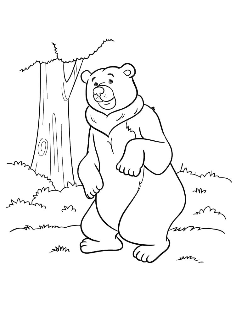 Bear coloring page 5