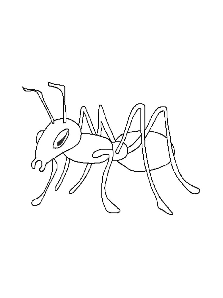 Ant coloring page 5