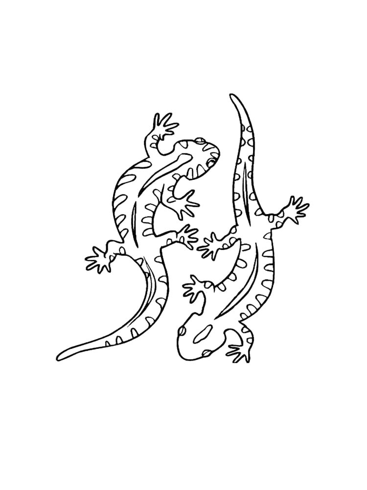 Lizard coloring page 3