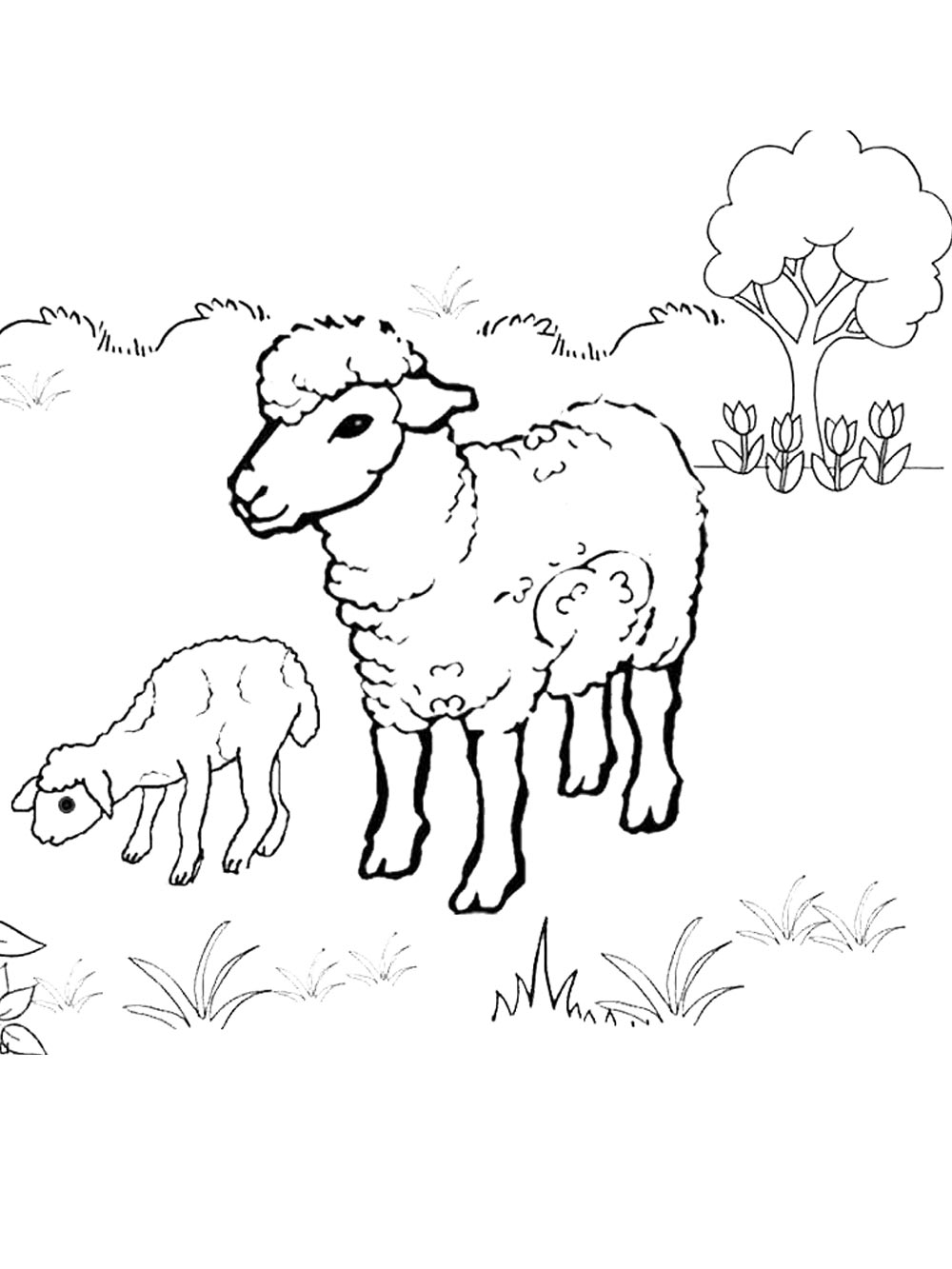 Sheep coloring page 14